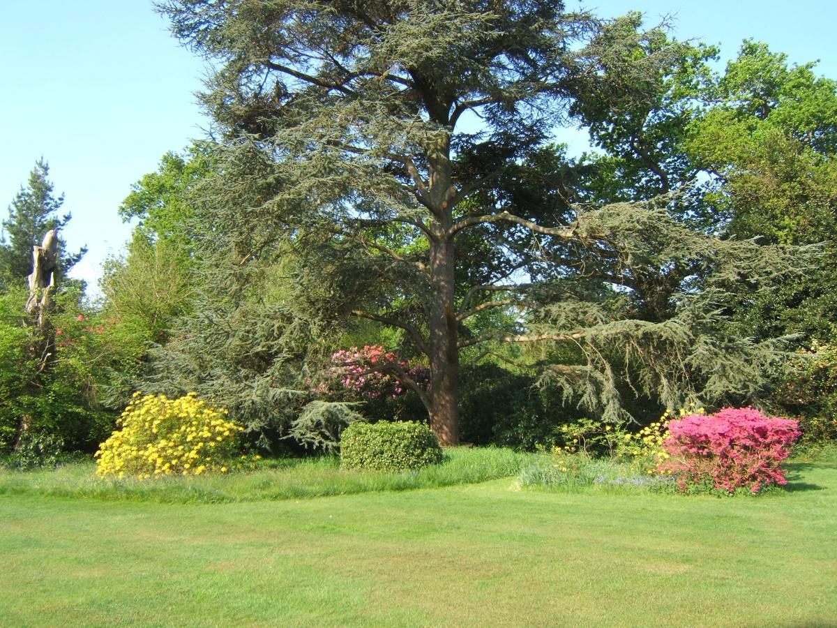 Bed and Breakfast Hollybank House Emsworth Exteriér fotografie